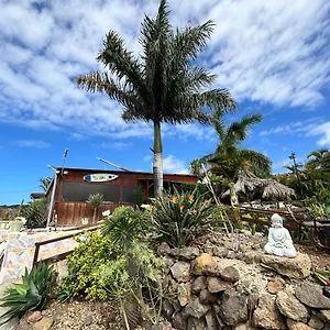 https://camping-invernaderito.in-canary-islands.com